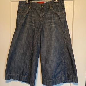 Level 99 gaucho Palazzo cropped pants, size 28